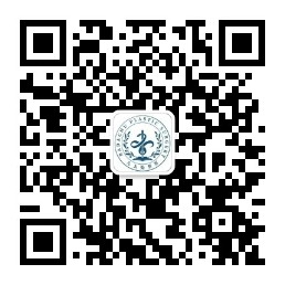 11120262ff8c64662bd1ff9102d52b30_1-26040G2095OS.jpg